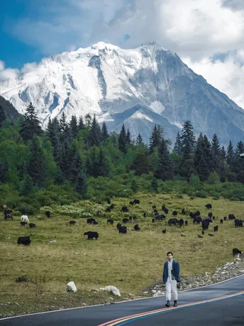 一个人沿着一条路走 远处有一群牛在吃草。