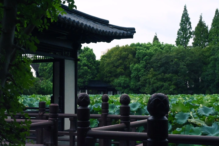 公园漫步