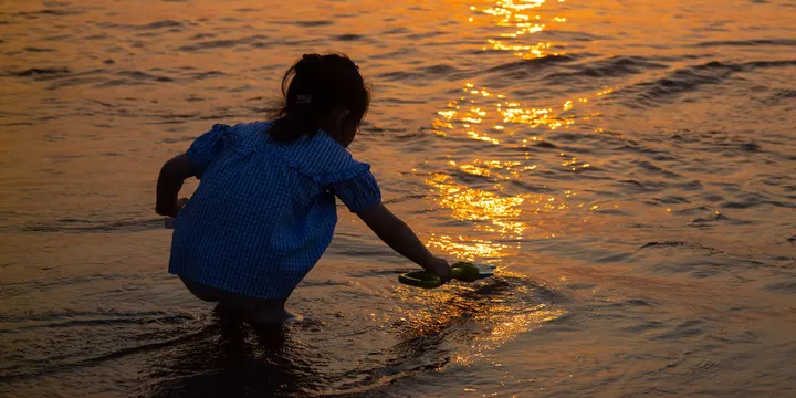 收货夕阳