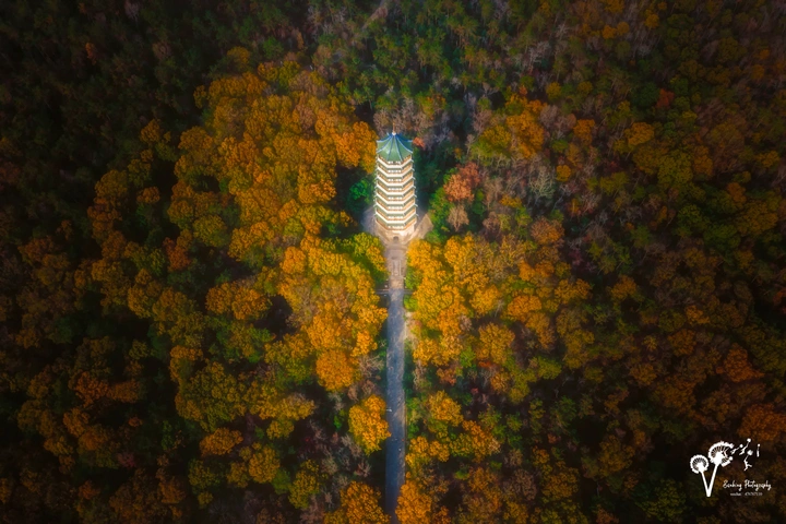 南京钟山风景区
