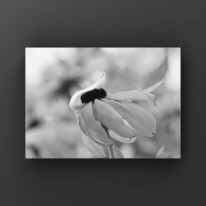 默绽