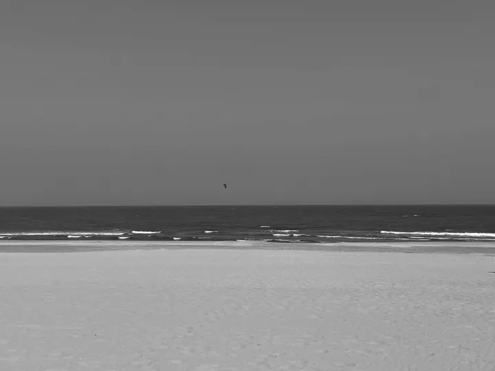 静·海