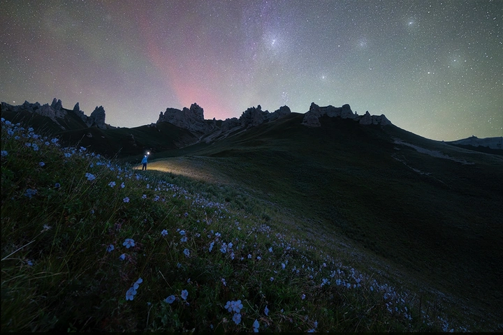 星辉花语