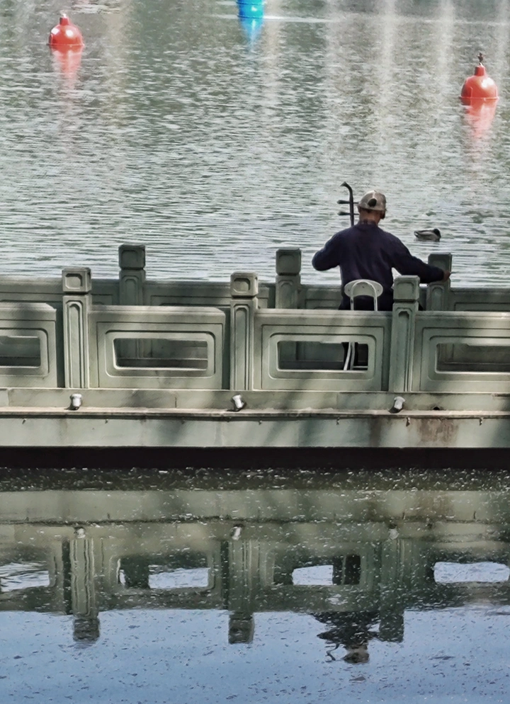 春之弦