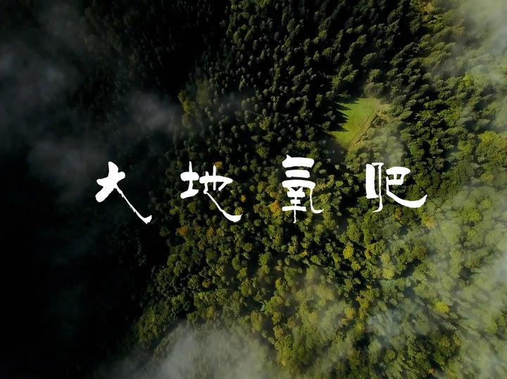 大地氧吧-原始森林