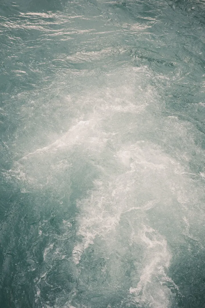 海