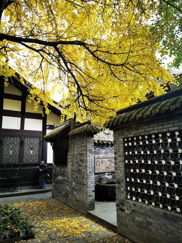 一地金黄