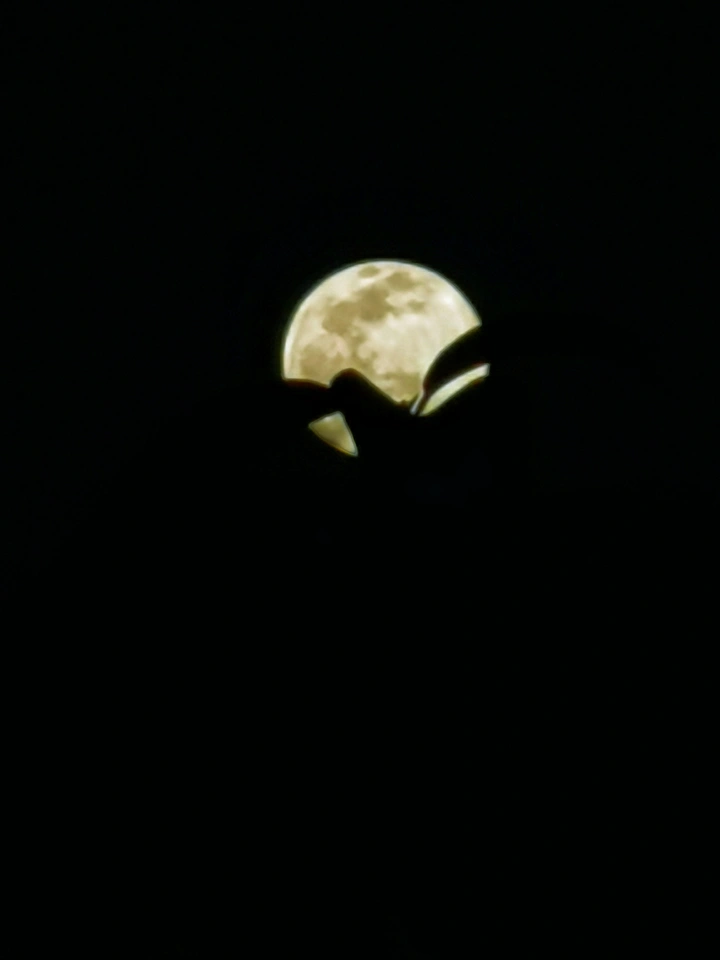 今夜满月