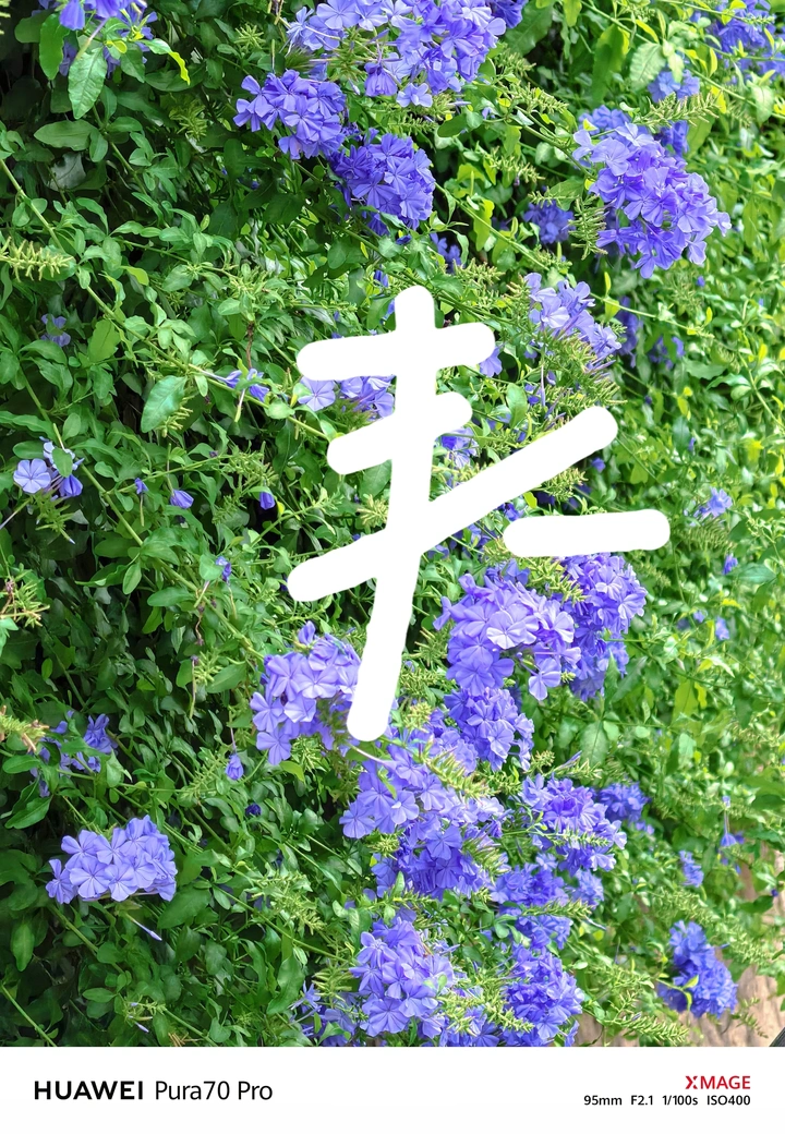 「春天的碎片?」