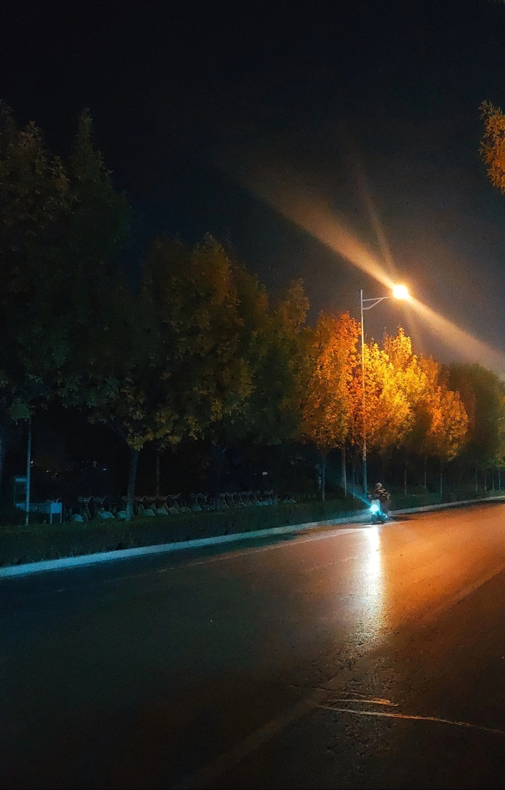 《夜路·秋光》