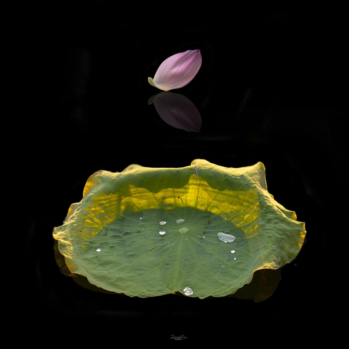 残红缀秋