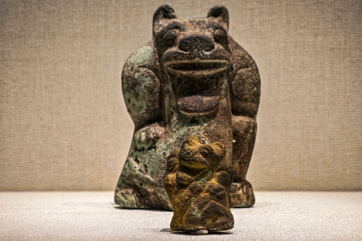 有趣的展品