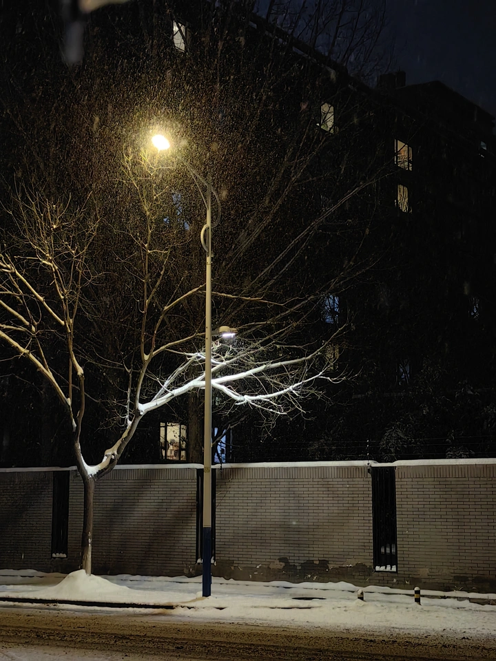 夜与雪的独歌