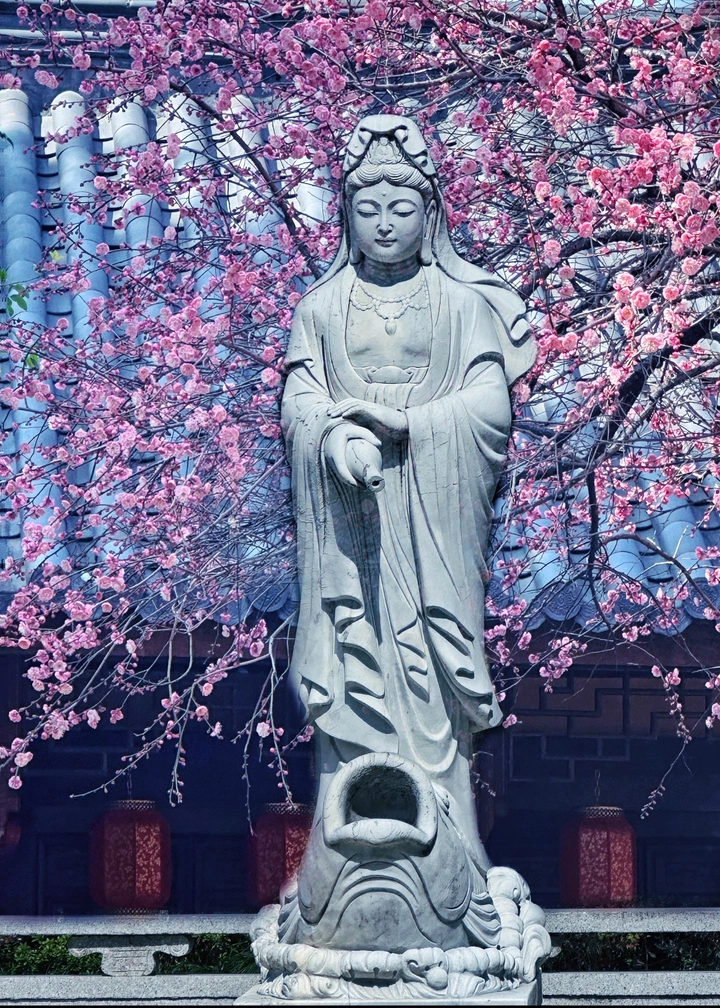 打卡铁佛寺