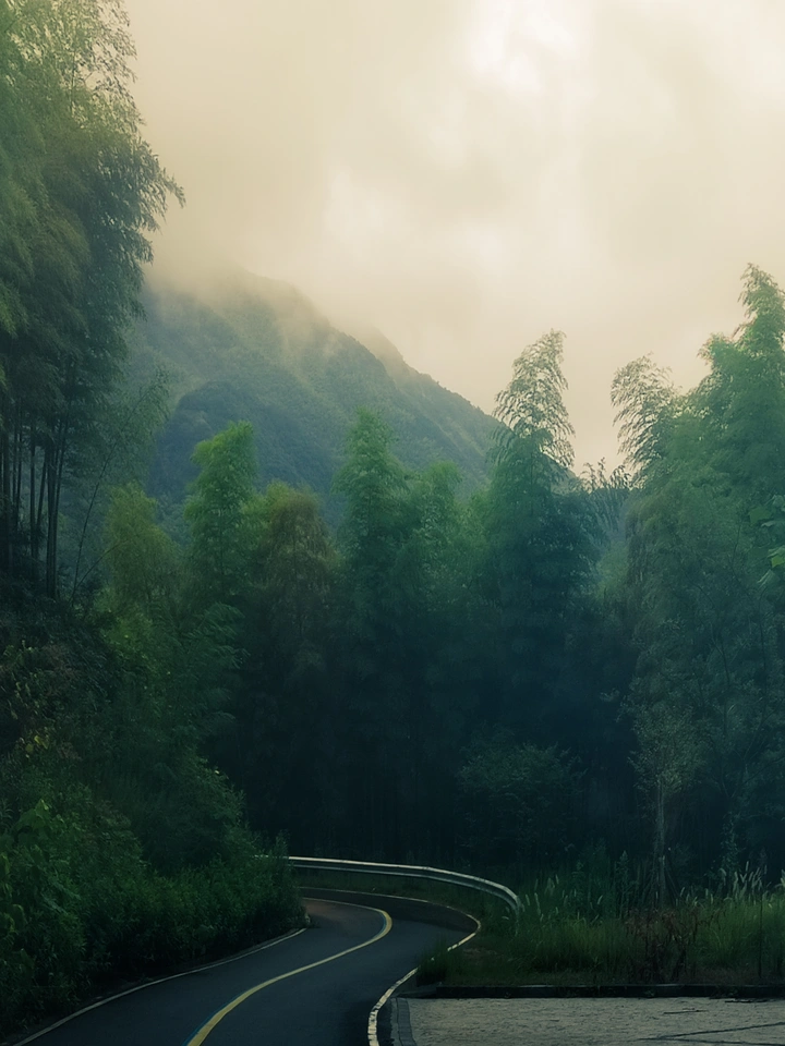 竹林险峻