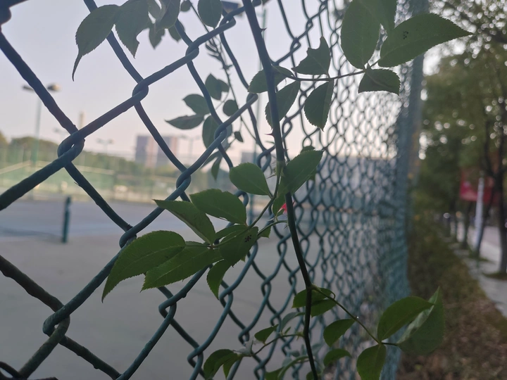 校园的角落，走你走过的风景