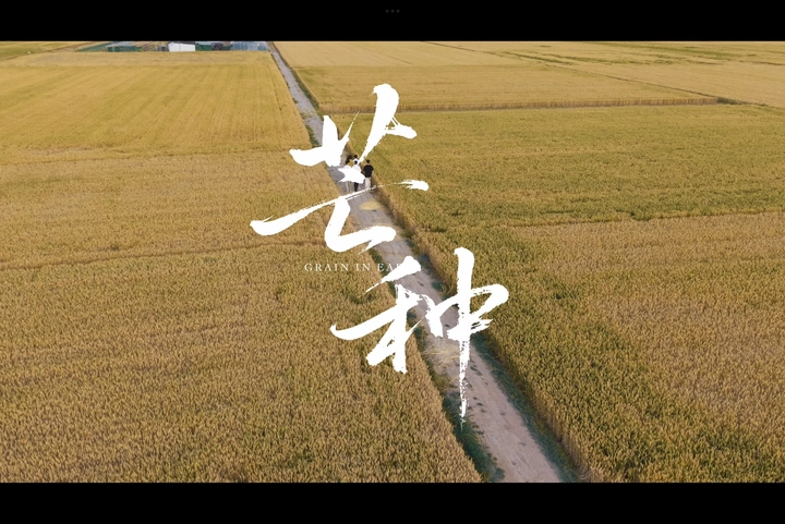 芒种——2025毕业主题视频