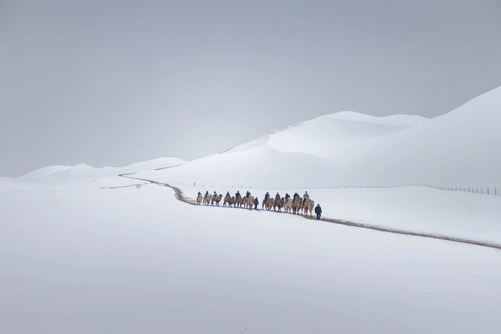 雪途驼队