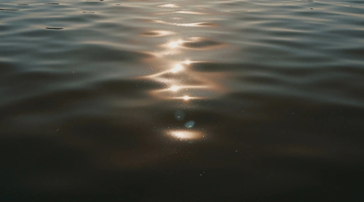 《星海》