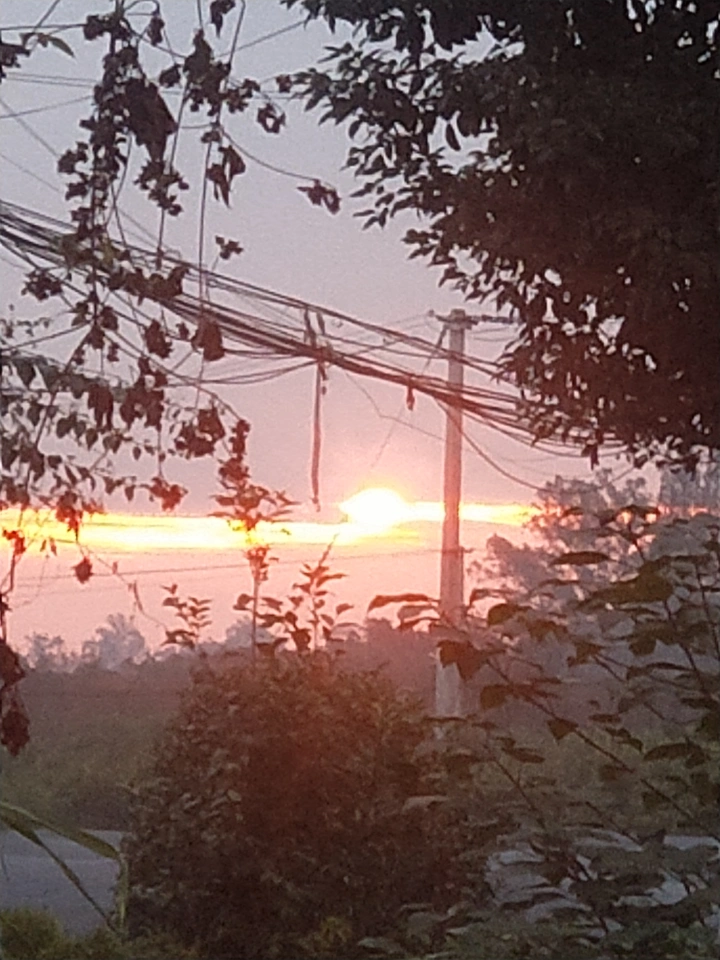 清晨的阳光