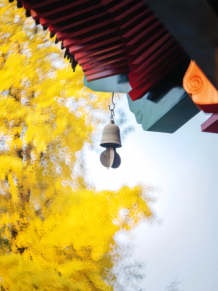 一眼千年，南京毗卢寺最美的季节即将到来