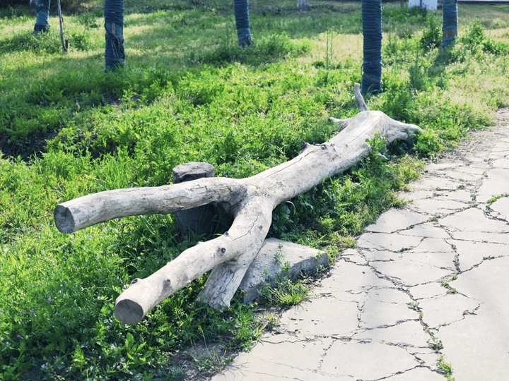 湖州溧阳踏春