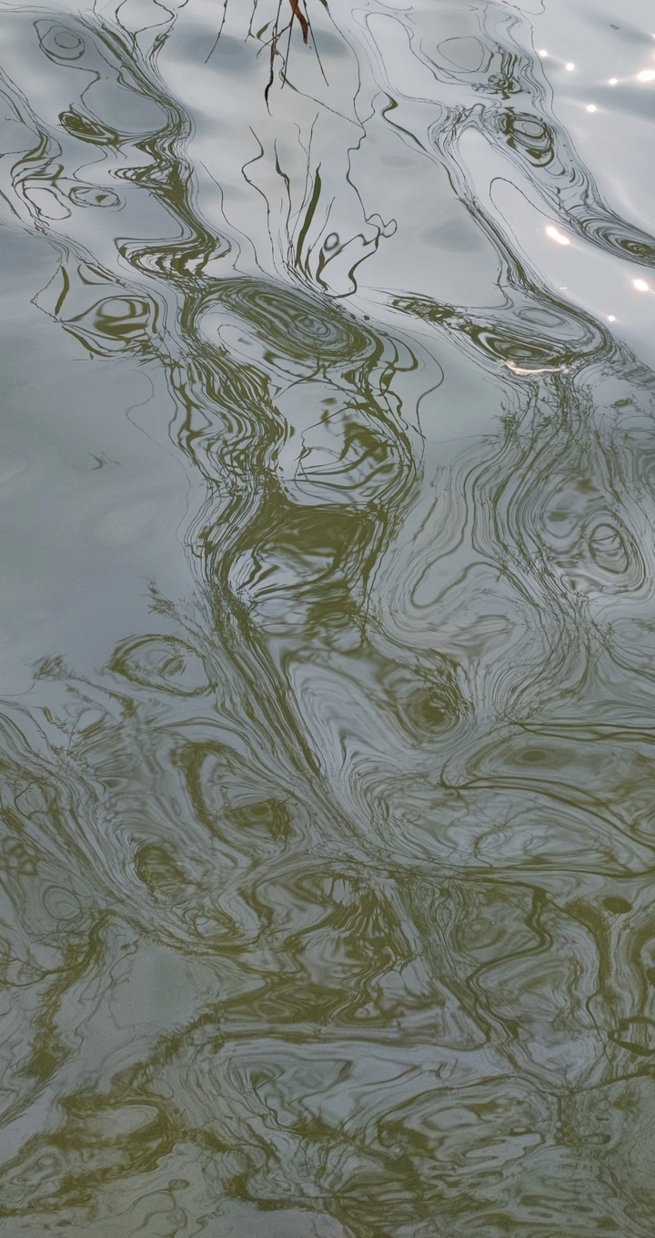 西湖水