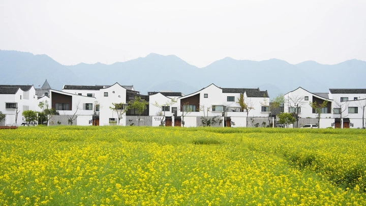 南方小村