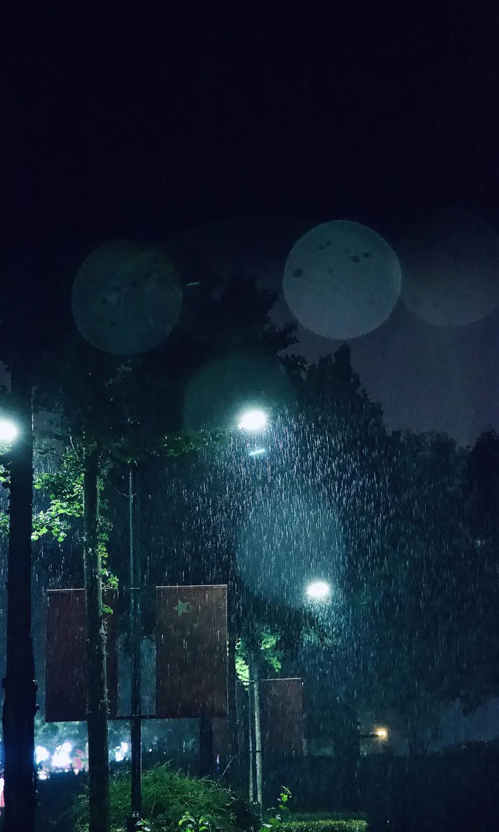 雨后的情绪