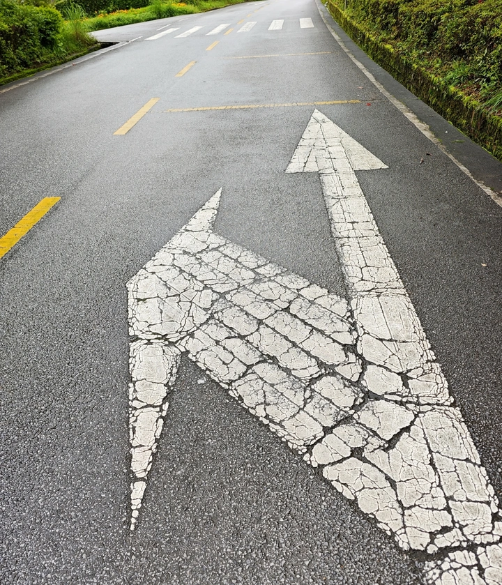 指向