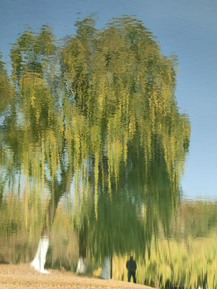 水中幻影