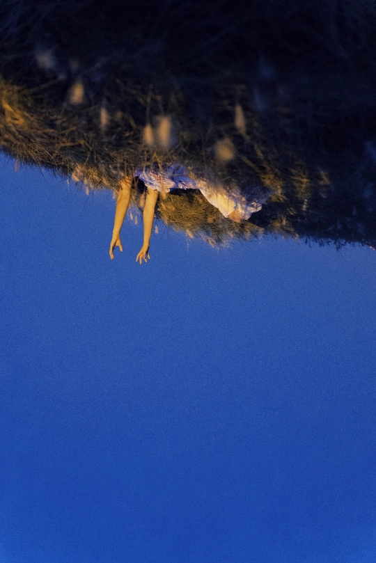 倒影中的女人和倒影中的树