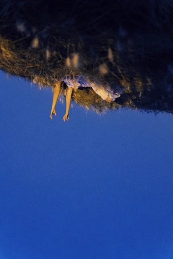 倒影中的女人和倒影中的树