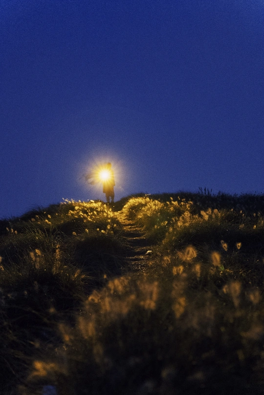 一个人站在一个草地山顶上的小径上 夜晚被街灯照亮。
