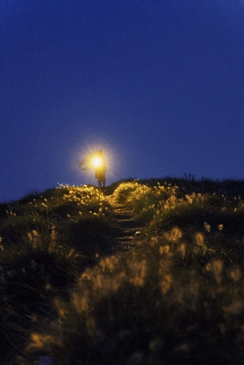 一个人站在一个草地山顶上的小径上 夜晚被街灯照亮。