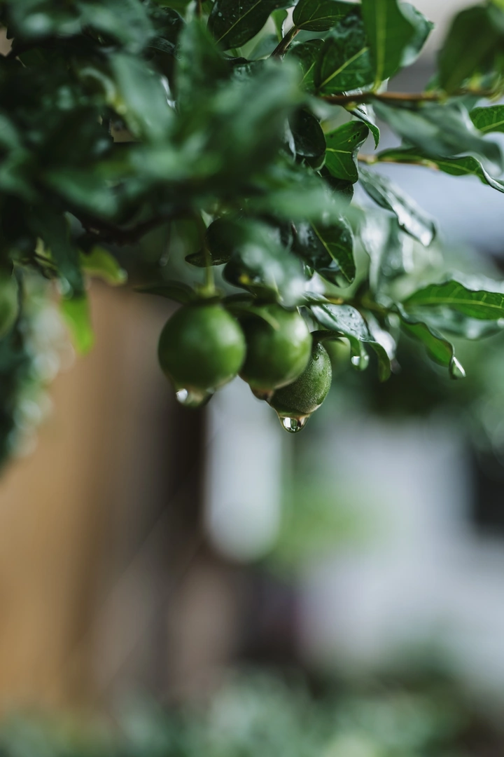 夏季是潮湿的💦