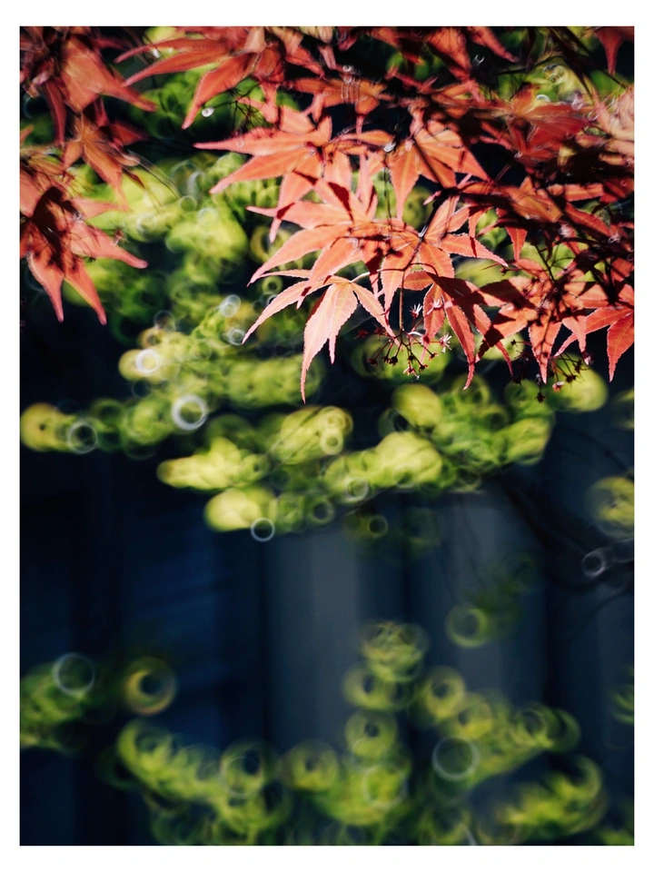 绿里透红