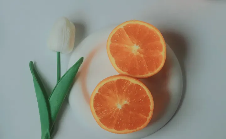 阴天 l 郁金香🌷和橙子🍊