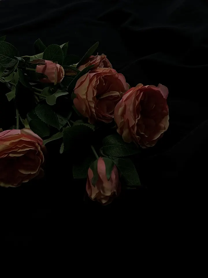 暗调花花?