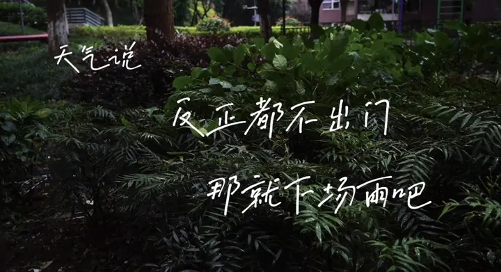 雨天