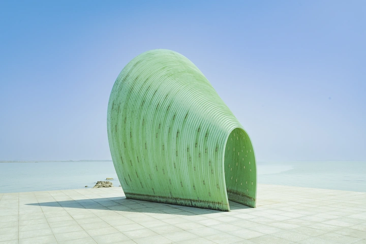 湖边贝壳