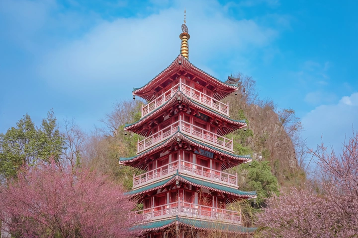 梅开，待春来