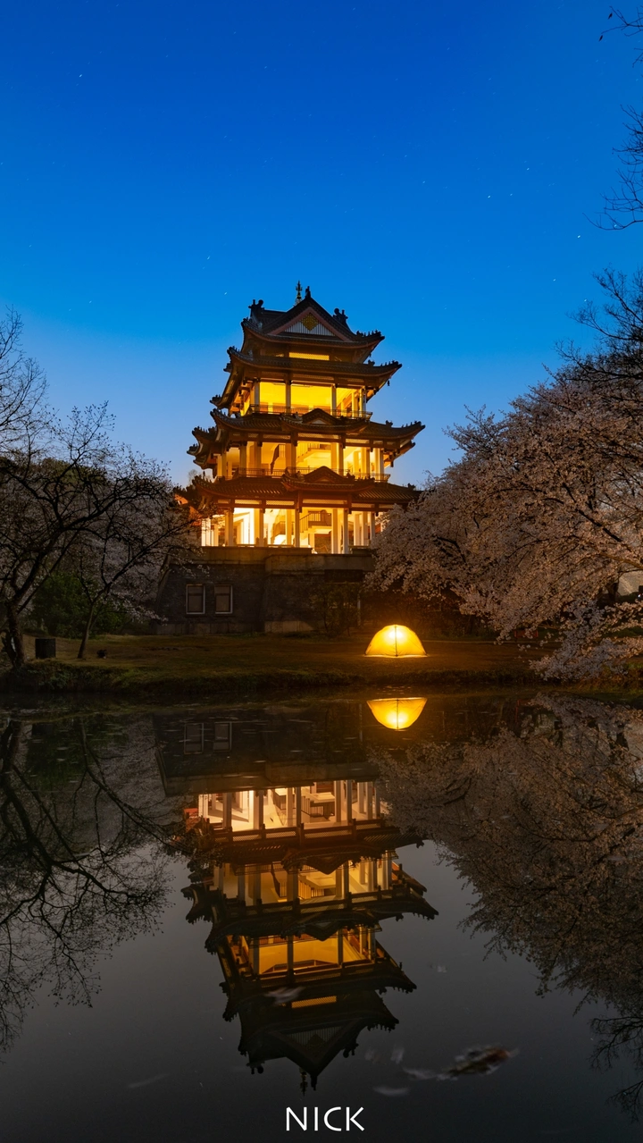 鼋头渚樱花，明年见