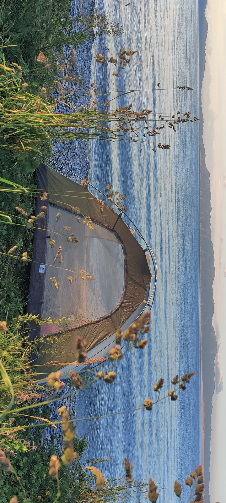 赛里木湖露营
