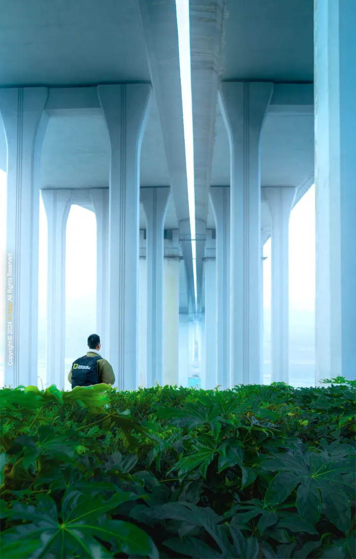 山水桥都·重庆