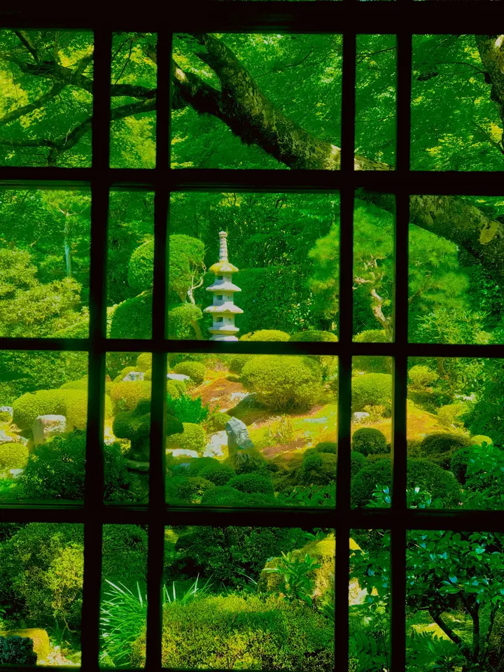 夏日窗景