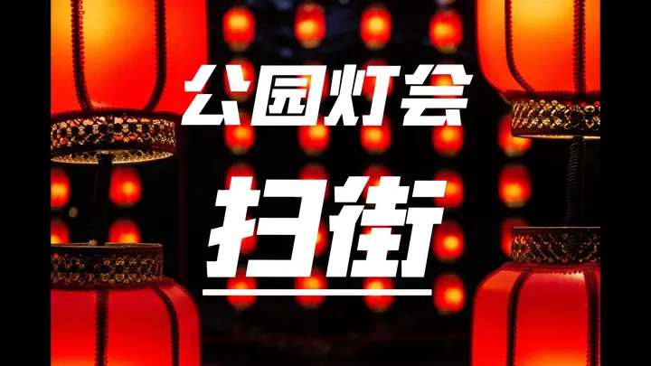 【第一人称扫街】在公园灯会中拍