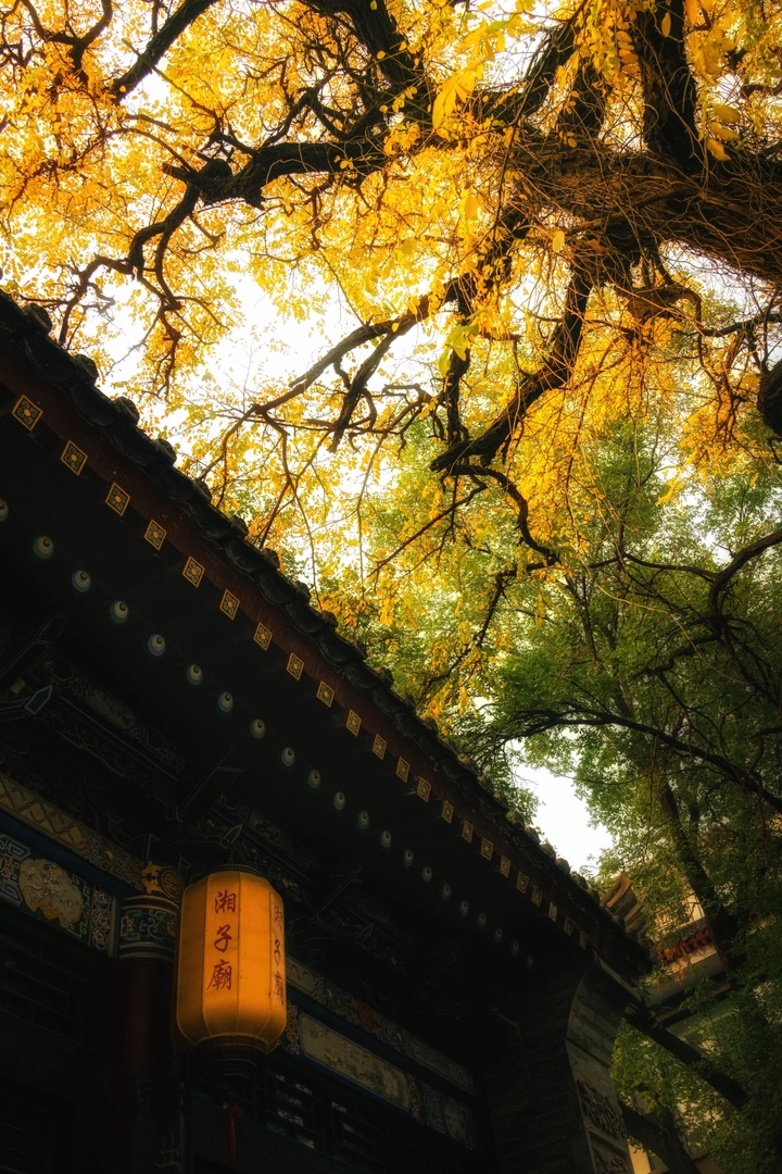 西安｜湘子庙秋景