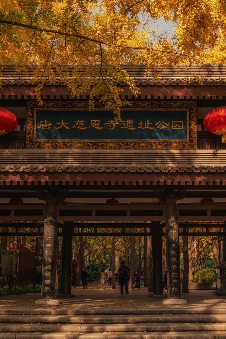 唐大慈恩寺遗址公园