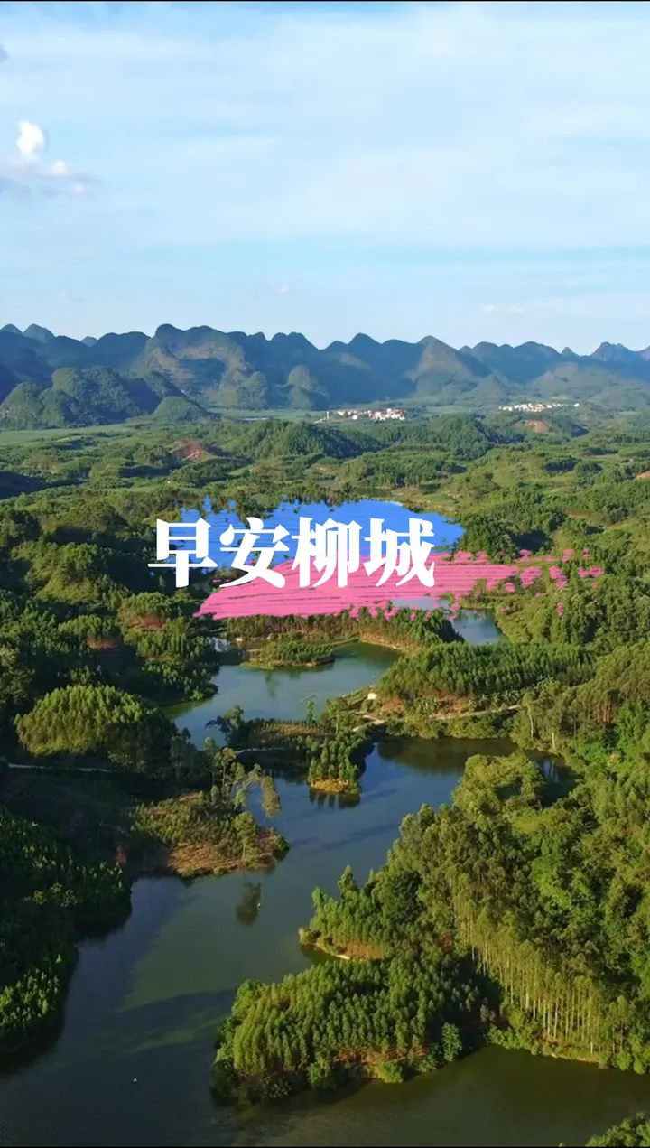 早安柳城